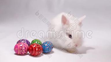 可爱的复活节兔子和装饰鸡蛋在白色背景。 小白兔。